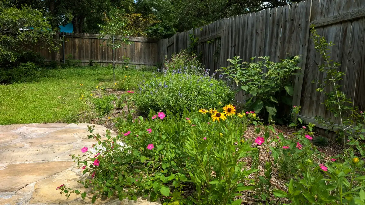 Intro to Native Plants